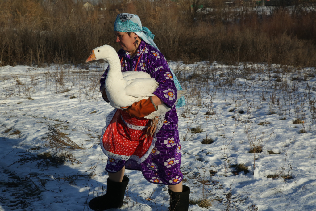 Муслюмовский район: гусиный уголок.jpg