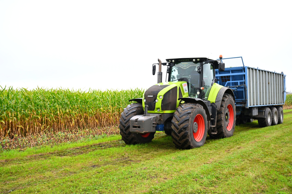 _file_photoreport3_print_10441499_8021610 (1).jpg