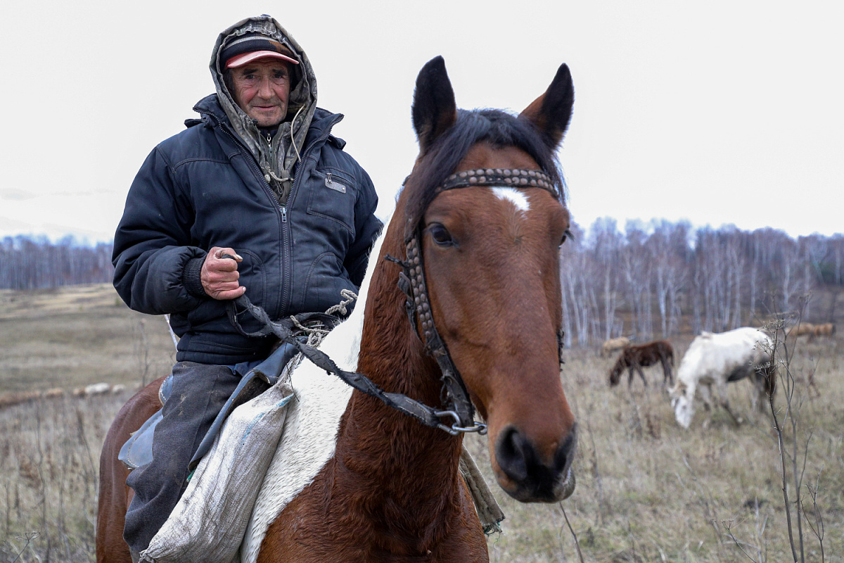 Ютазинский район — кумысная здравница