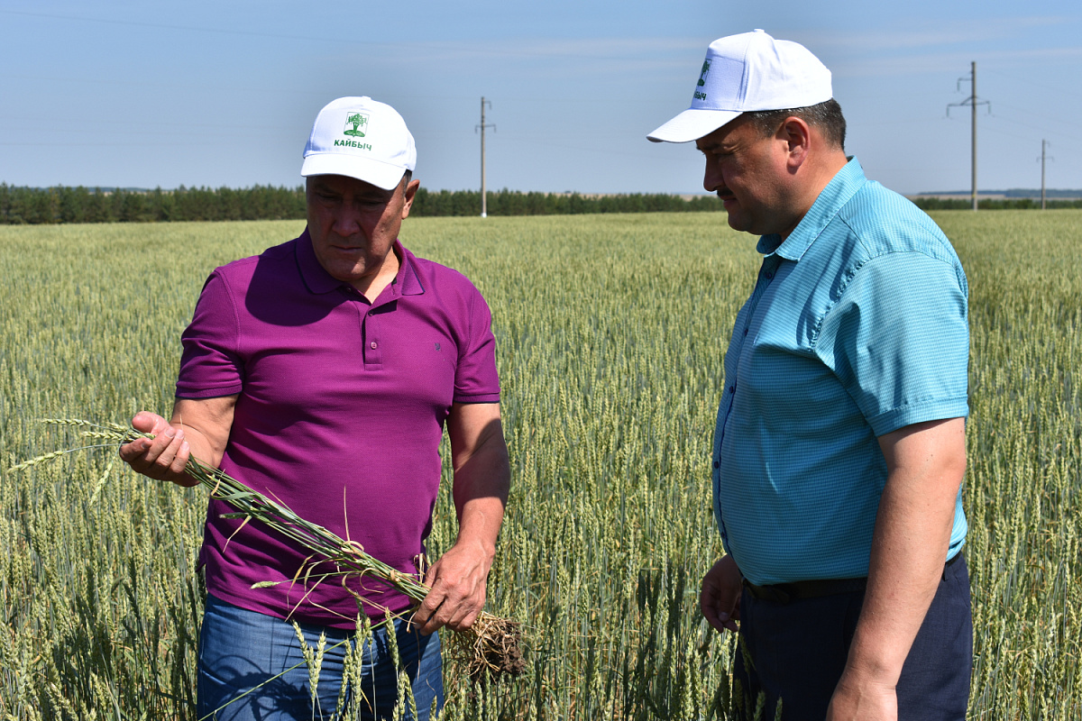 Полжизни в сельском хозяйстве: 5 фактов о Марате Ахметове