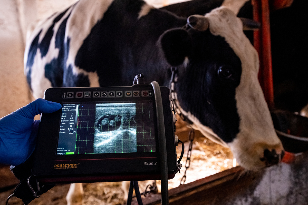 Агропромышленный комплекс Татарстана: 146 млрд рублей инвестиций